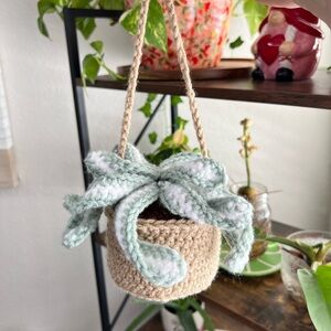 Handmade 🪴 hanging snake plant